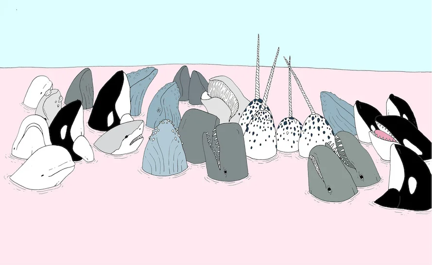 Whales Gottlieb.jpeg