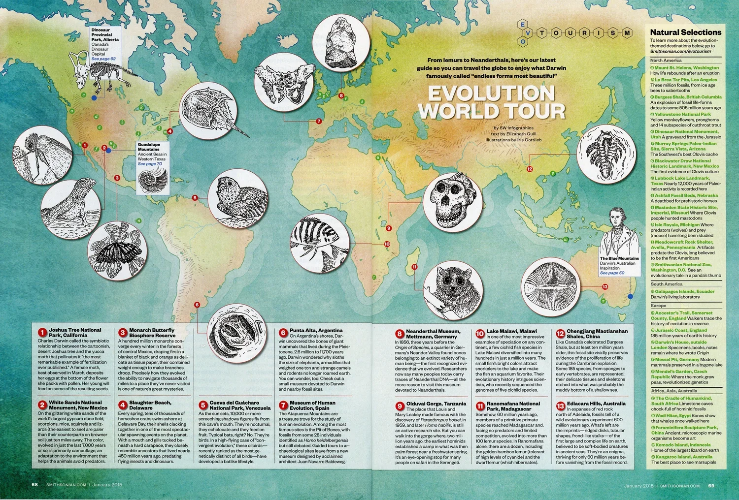 Collective Quarterly