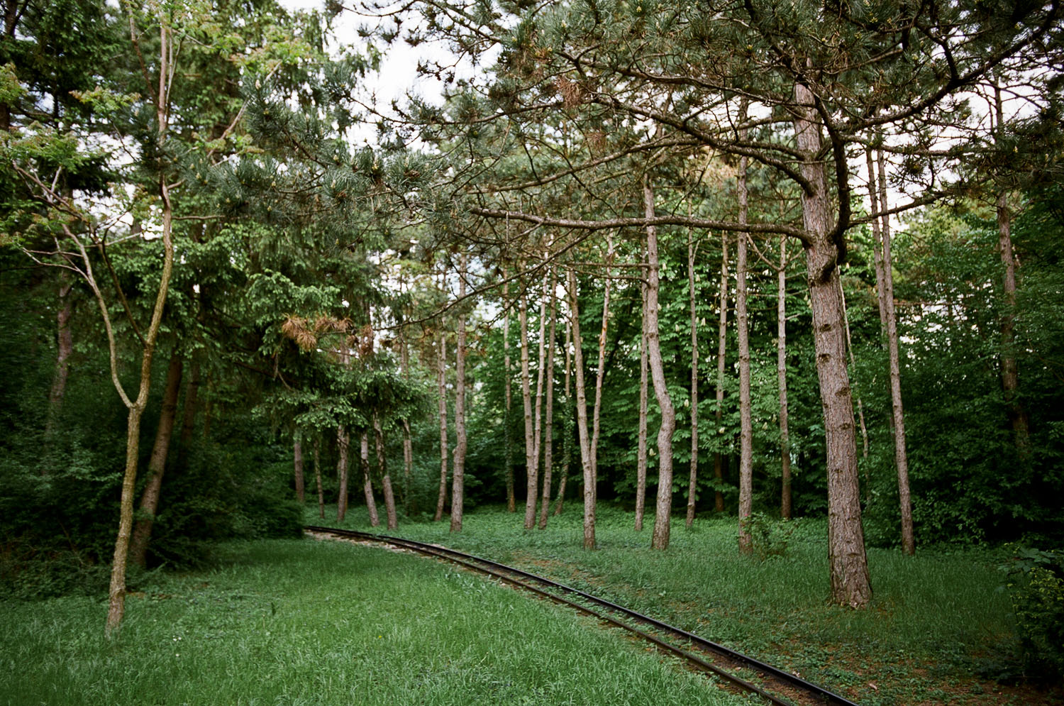 0285_13a.jpg
