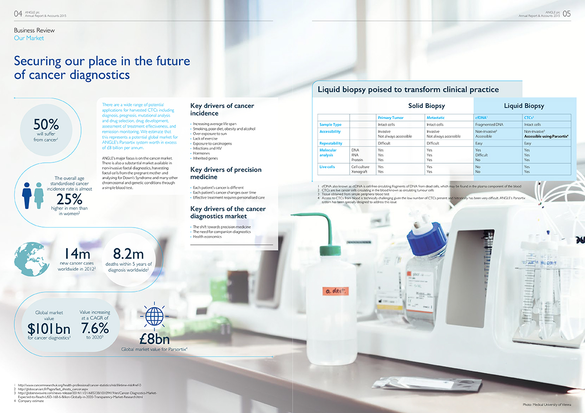 ANGLE Annual Report