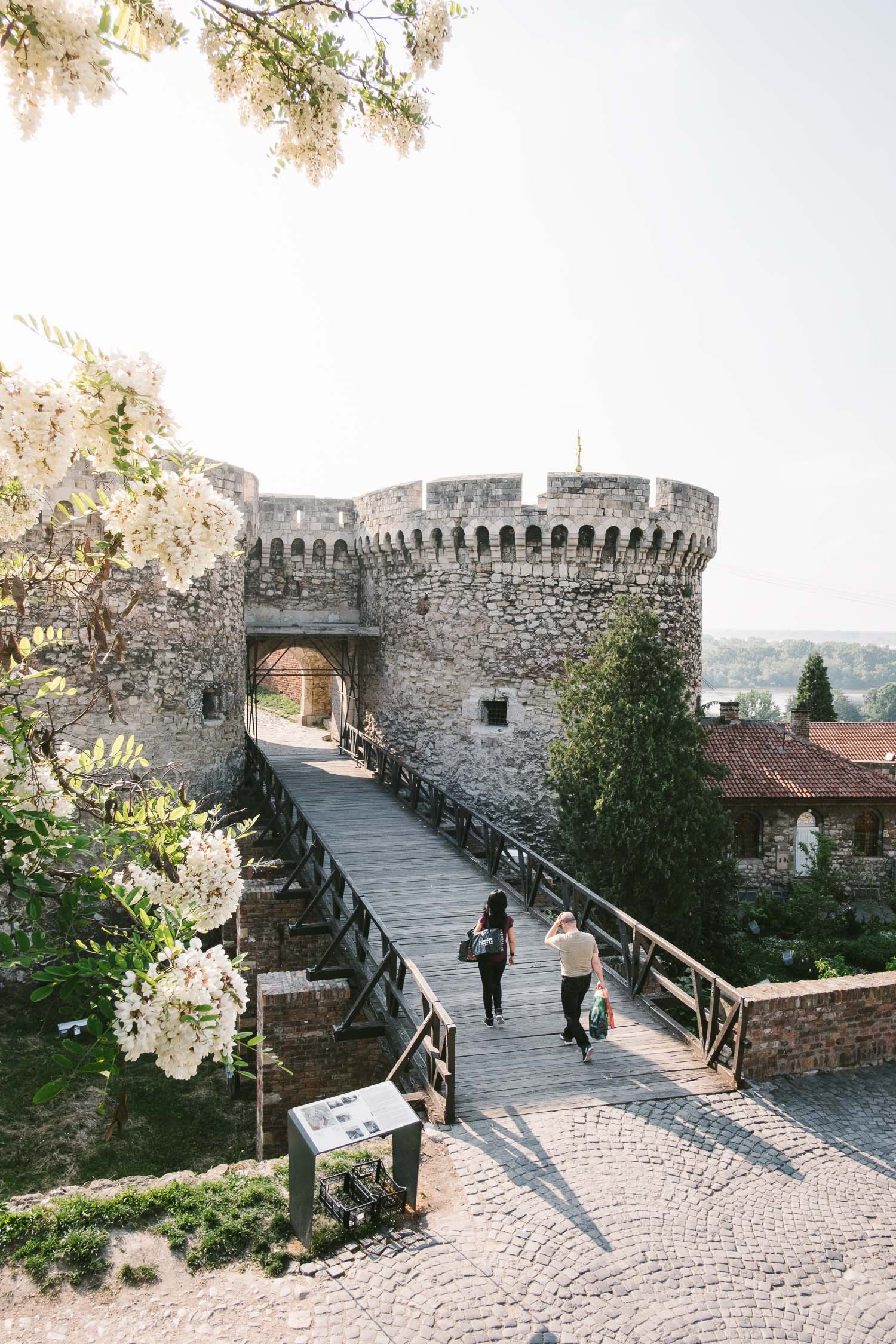 A day in port Belgrade, Serbia