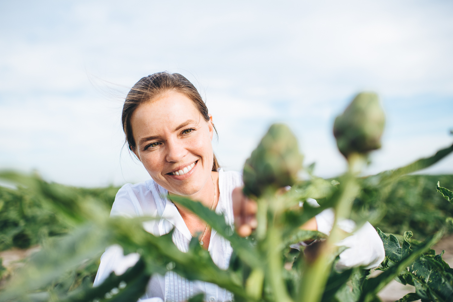 Theuringer Artichokes