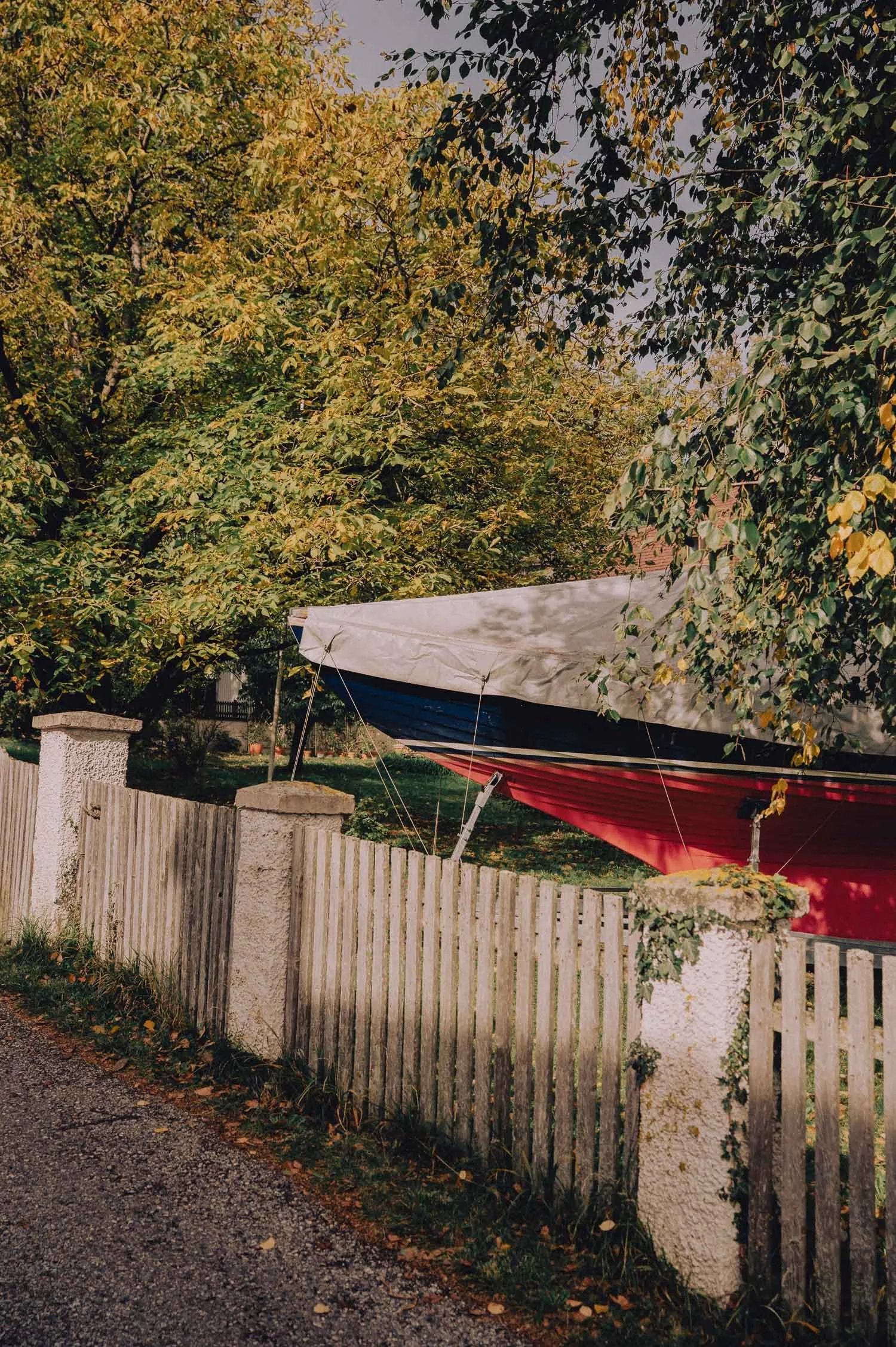 _SZ61972.jpg