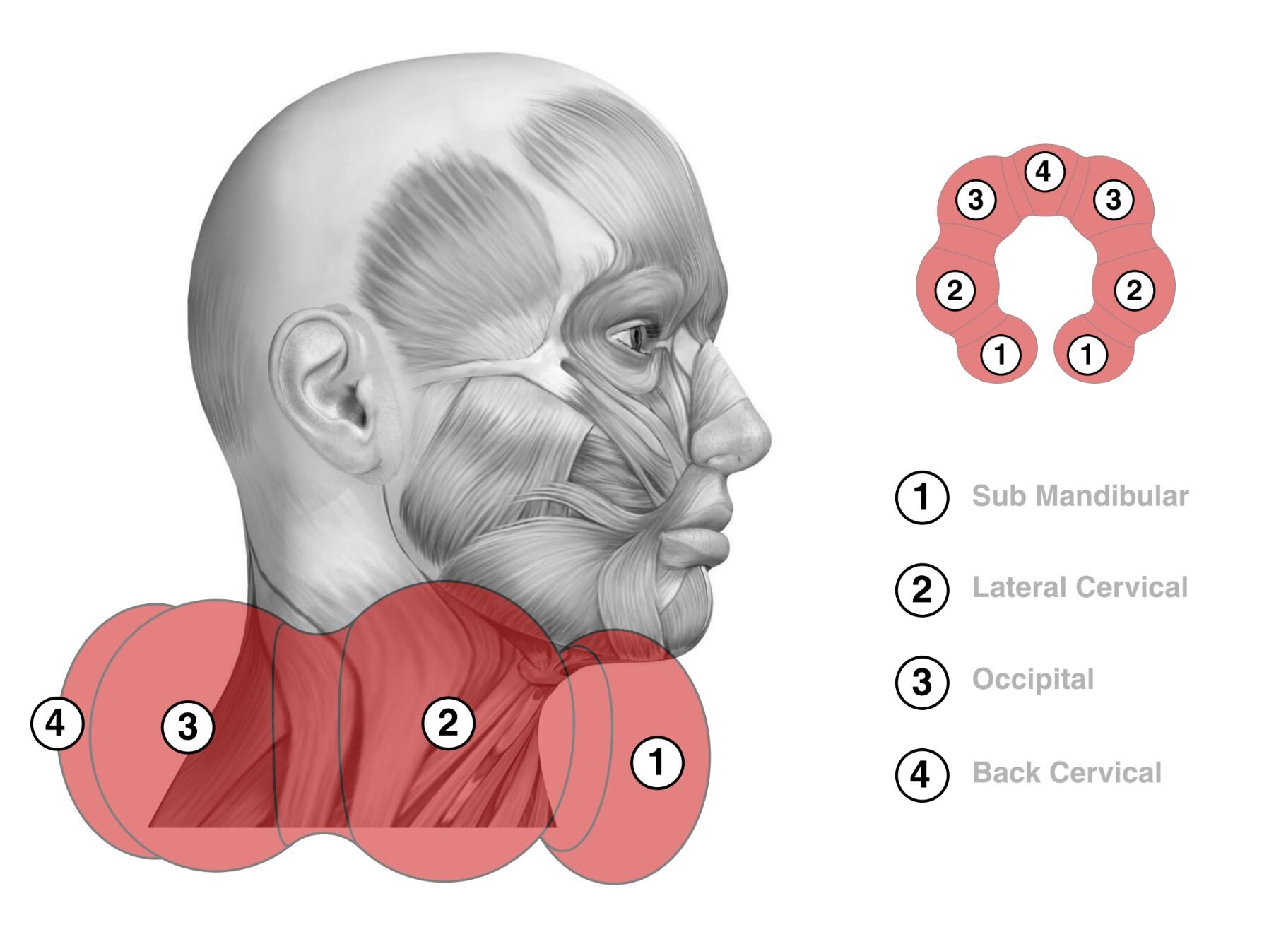 PILLOW LANZILLO 17.JPG