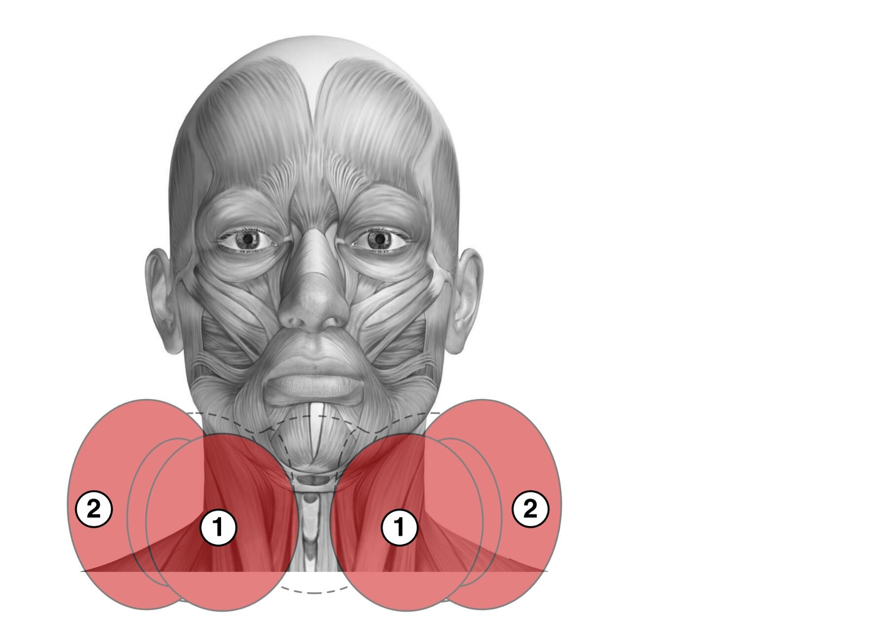 PILLOW LANZILLO 18.JPG