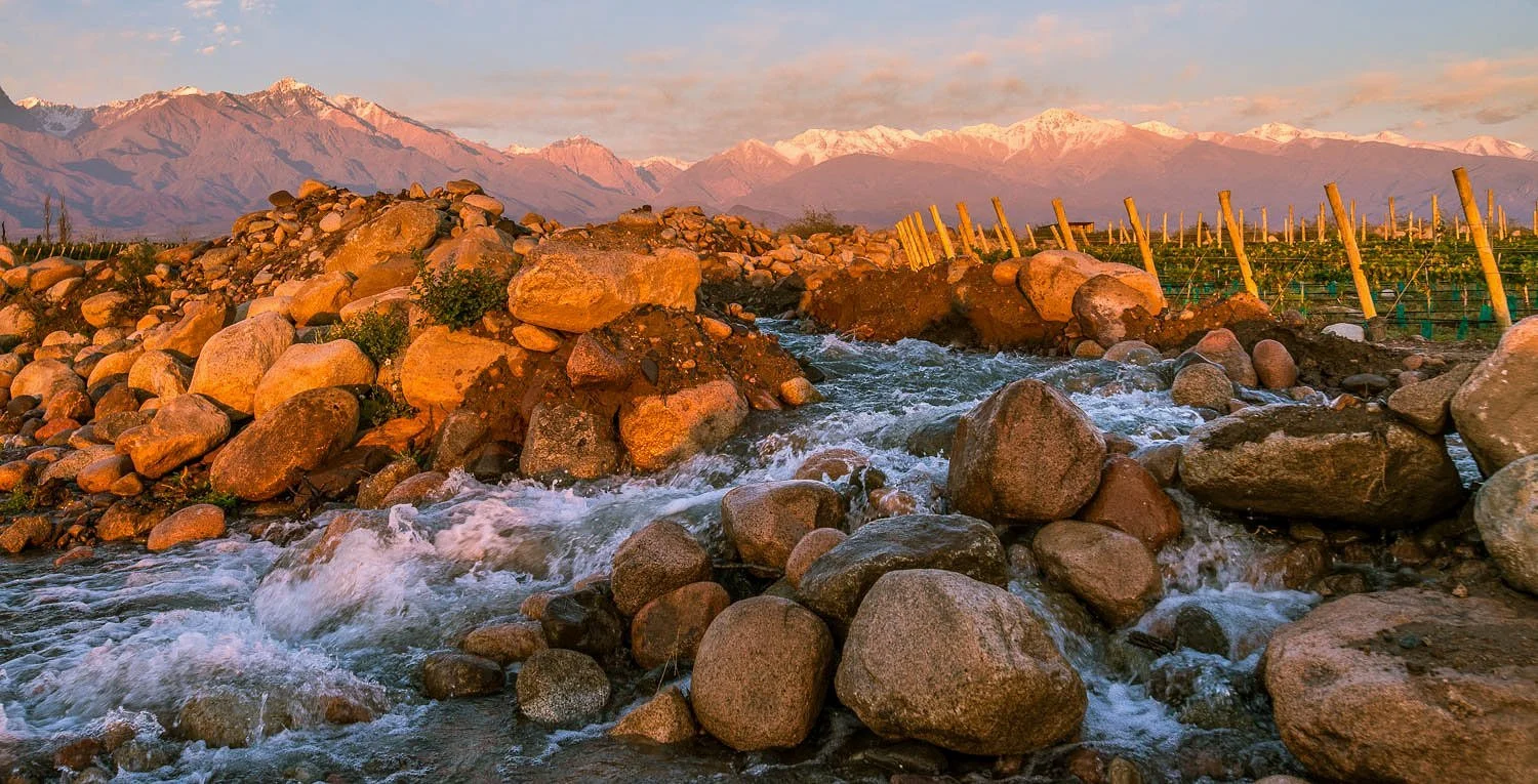 Our Vines are fed by the crystalline snowmelt of the Andes high in the Uco Valley