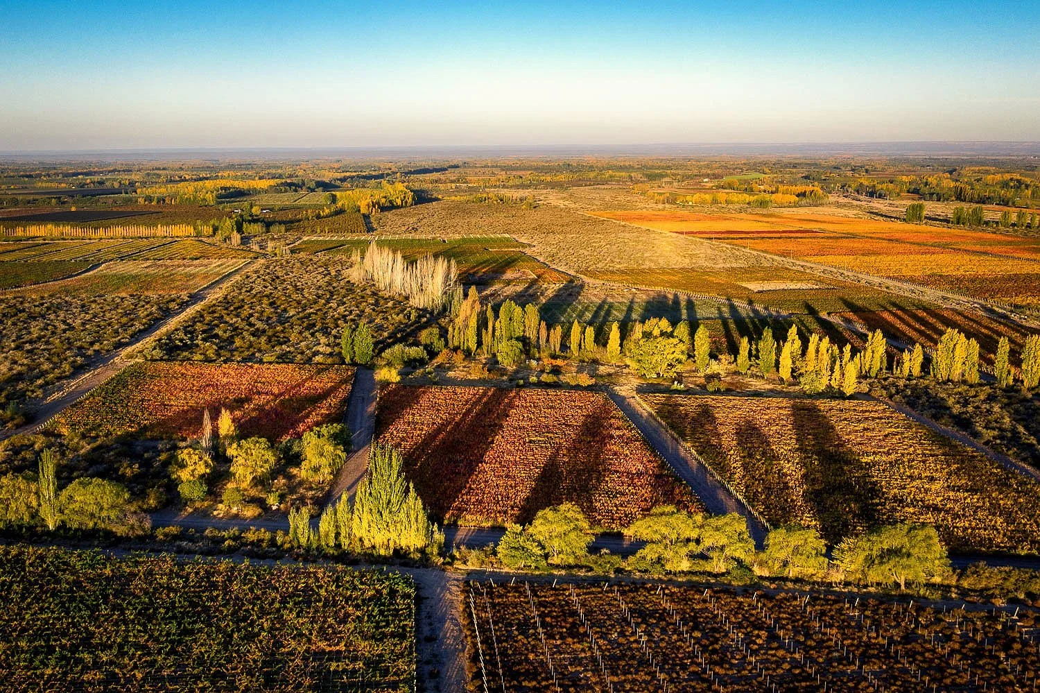 Lush, fertile and rich in minerals, the Uco Valley Terroir is truly unique