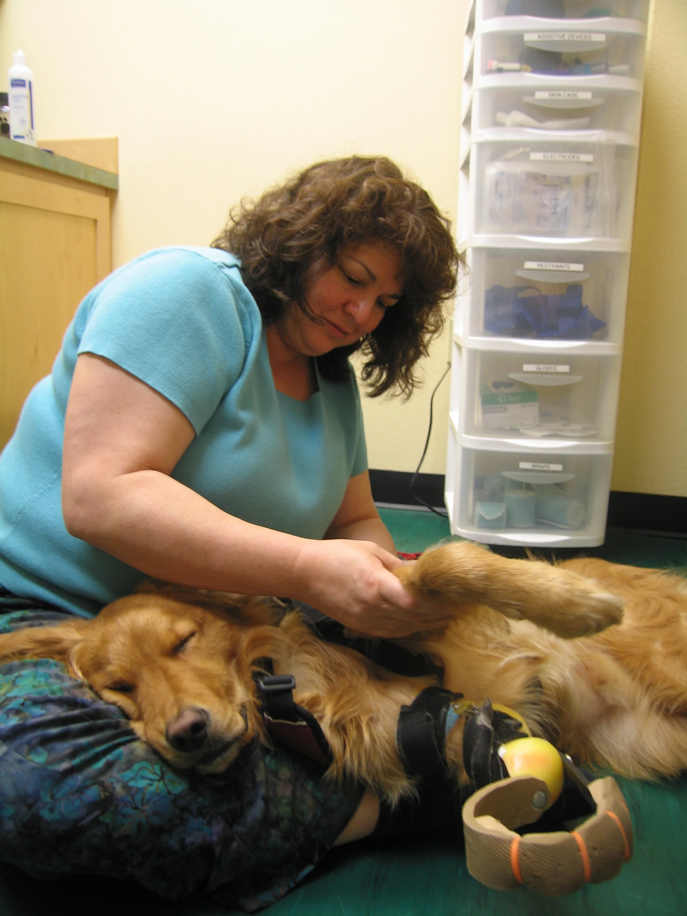 Duke Golden Bond 2011.JPG