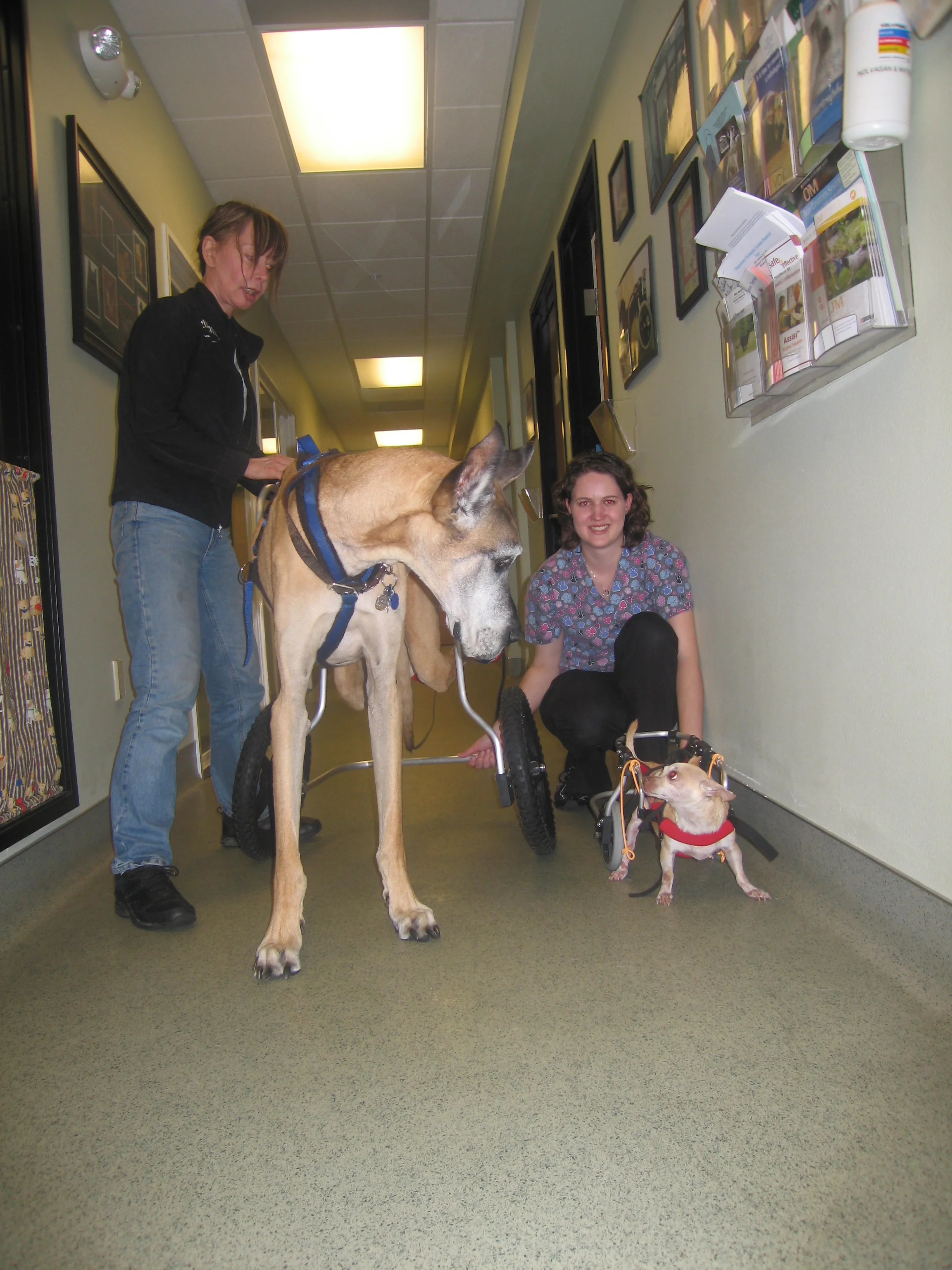 Jonah and Charlie 060812_4.JPG