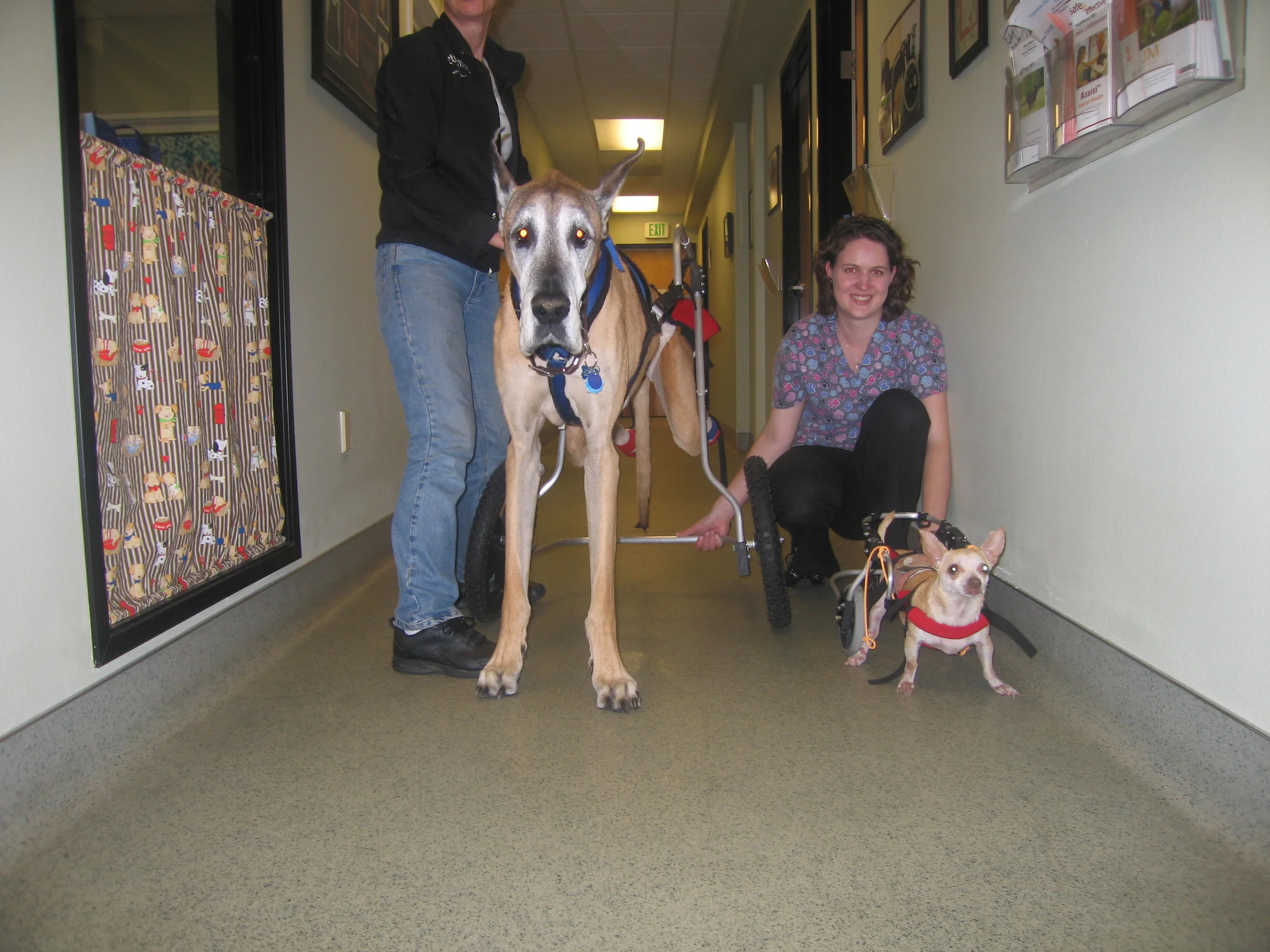 Jonah and Charlie 060812_7.JPG