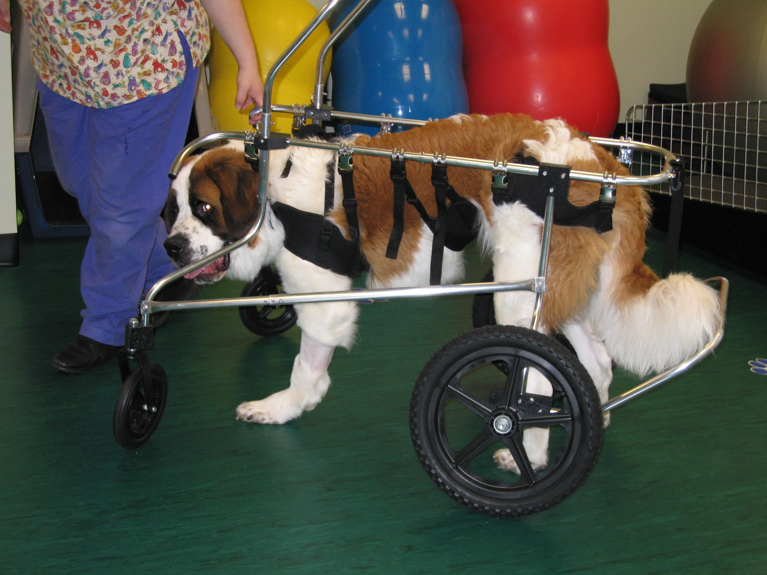 JacksonEmmet cart_006.JPG