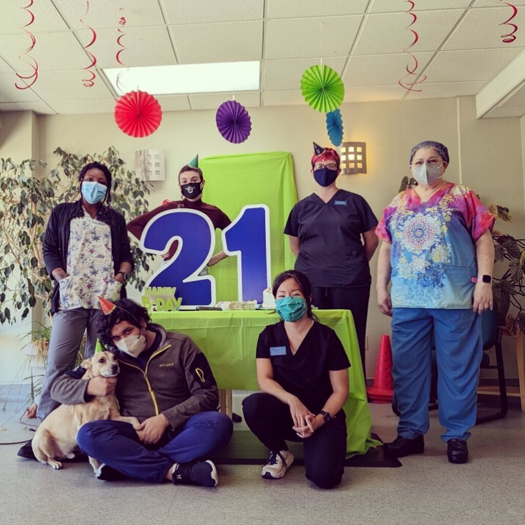 This week we have been celebrating 21 (!!!) years of being open! Time sure does fly when you&rsquo;re helping all the cute cats and dogs! Be sure to grab a cupcake and leave a note for Dr. Shaw on the board in our lobby when you come in! Here&rsquo;s
