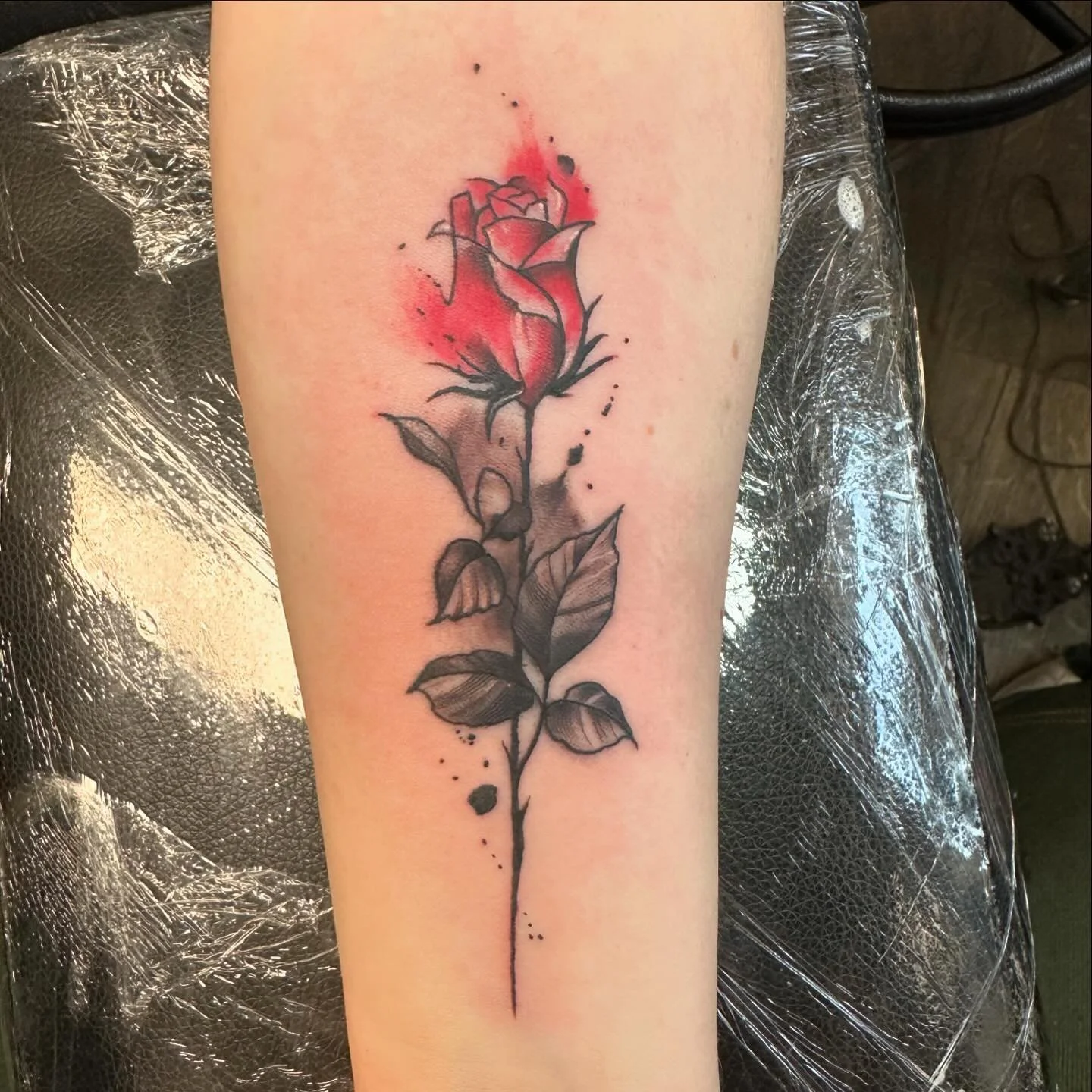 Little rose guy I did recently
#tattoo #tattoos #tattooart #saltlakecity #saltlaketattoos #saltlaketattooartist #slc #slctattoo #slctattooartist #utah #utahtattoo #utahtattooartist #loyaltytattoos @loyaltytattoos