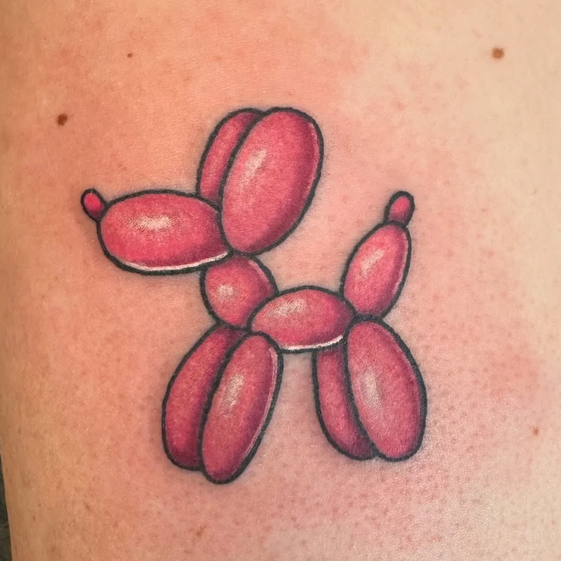 Fun little balloon pup done recently
#tattoo #tattoos #tattooart #saltlakecity #saltlaketattoos #saltlaketattooartist #slc #slctattoo #slctattooartist #utah #utahtattoo #utahtattooartist #loyaltytattoos @loyaltytattoos
