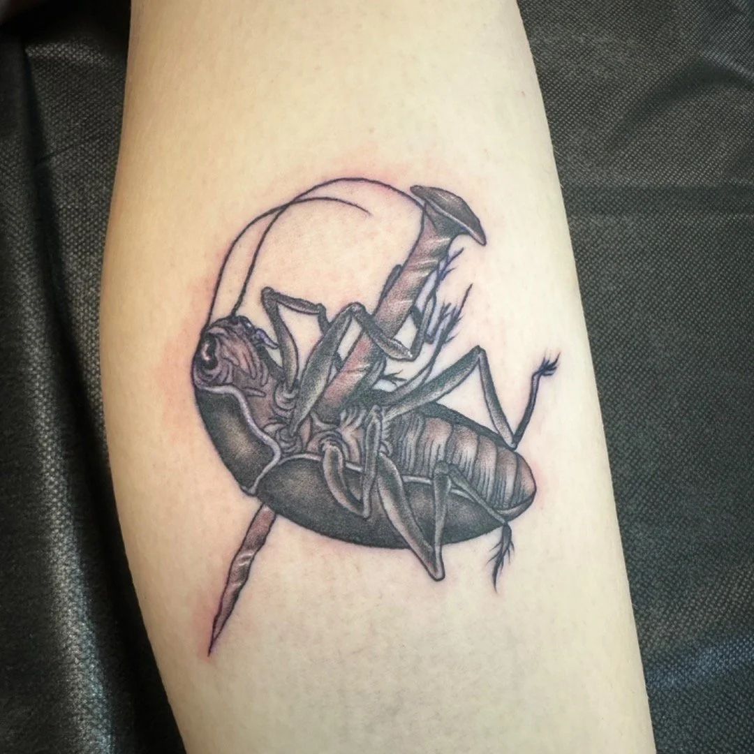 Roach on a nail done recently
#tattoo #tattoos #tattooart #saltlakecity #saltlaketattoos #saltlaketattooartist #slc #slctattoo #slctattooartist #utah #utahtattoo #utahtattooartist #loyaltytattoos @loyaltytattoos
