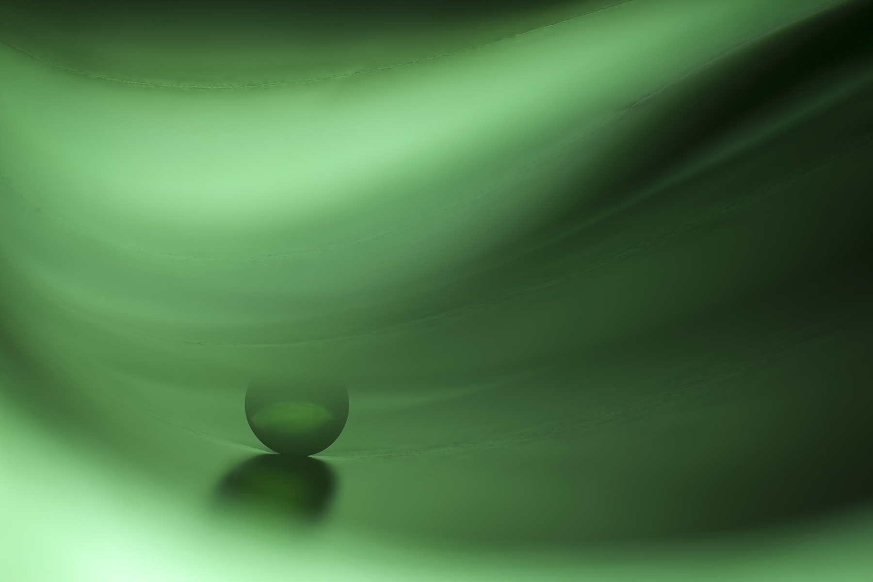 凝聽 (Canon 5D Mark II with EF100mm f/2.8 Macro Lens)