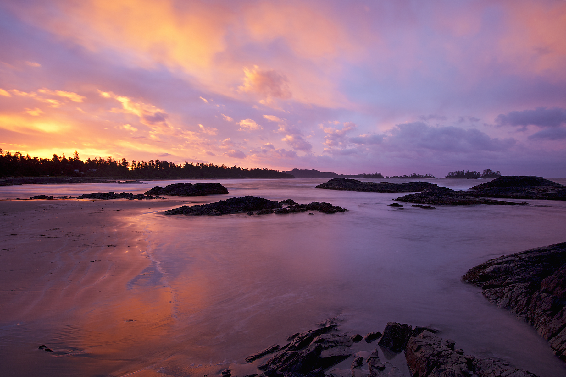 Tofino