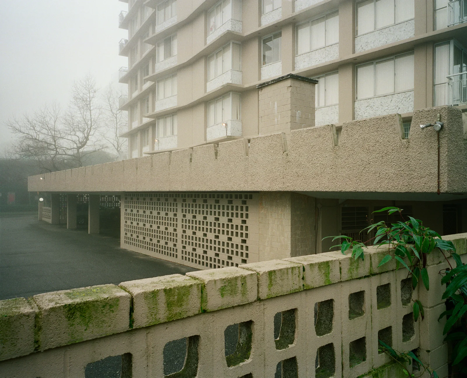 Comox Street, Vancouver, January 26, 2014 / 科默克斯街,溫哥華,2014年1月26日