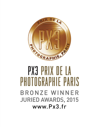 PX3_2015_winner logo.png