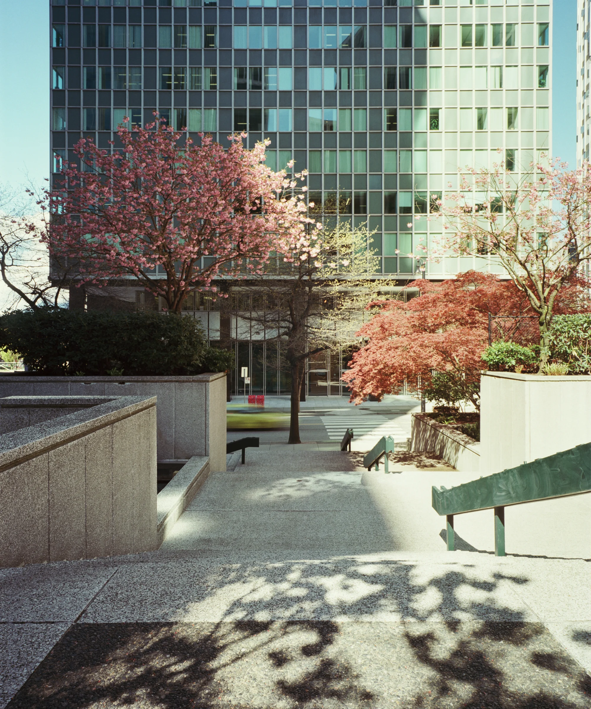 Hastings Street, Vancouver, April 24, 2017
