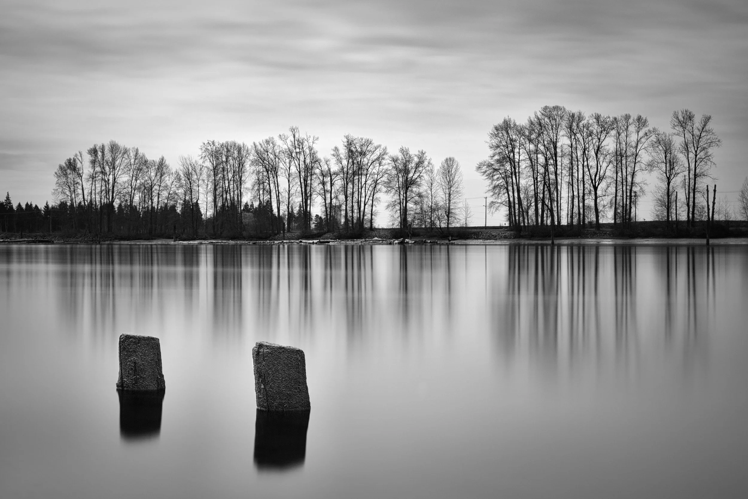End of The Road - Trees and Reflections