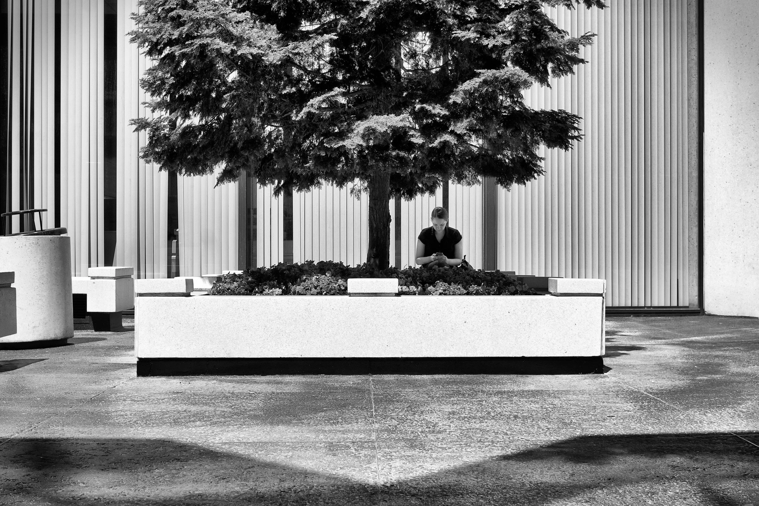 Meeting the Old Self - Solitude in the Plaza