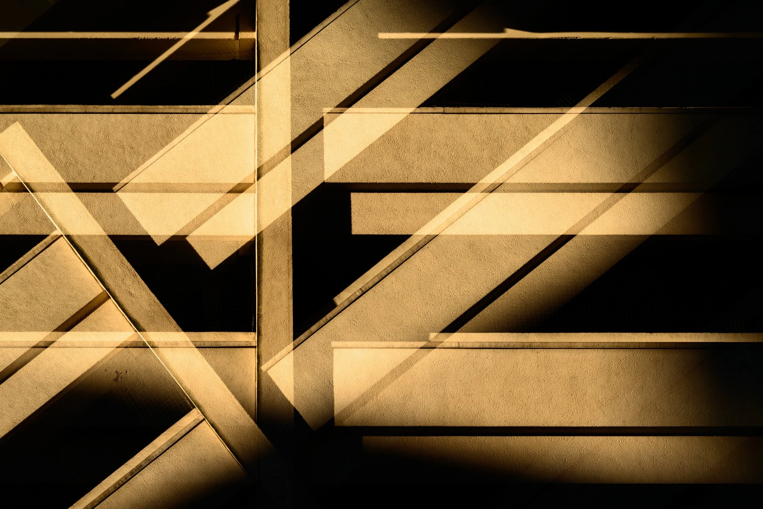 Crossed Paths | 2014