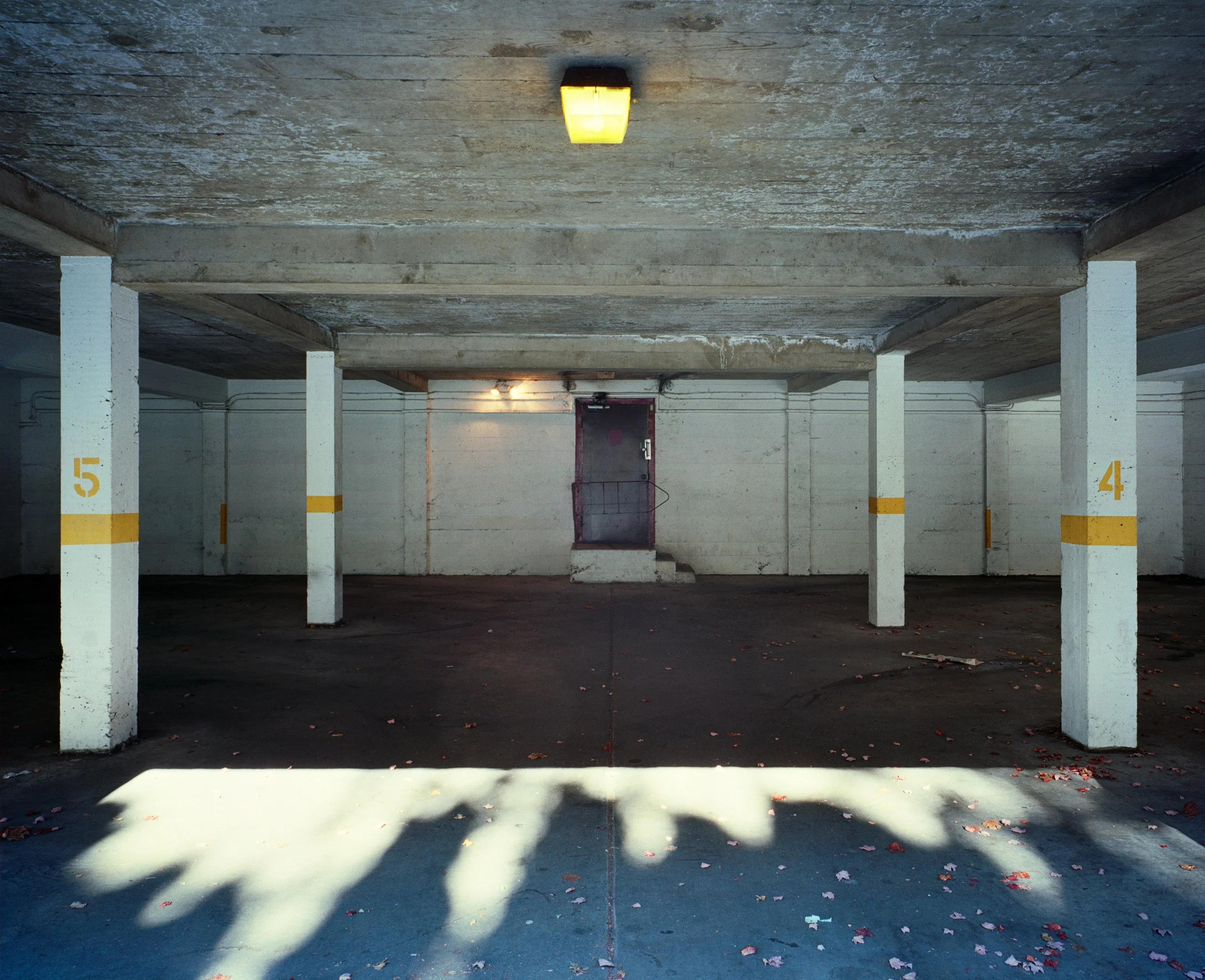 Pendrell Street | 2015