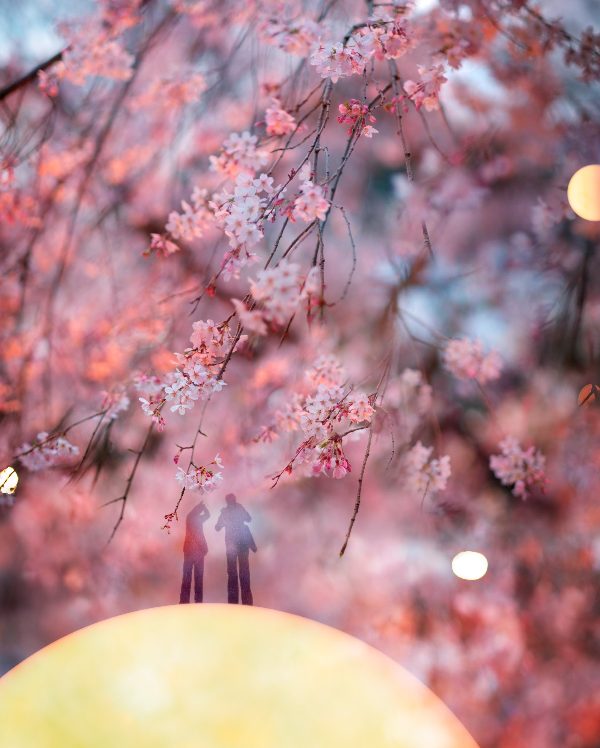 Inner Gathering | 2025