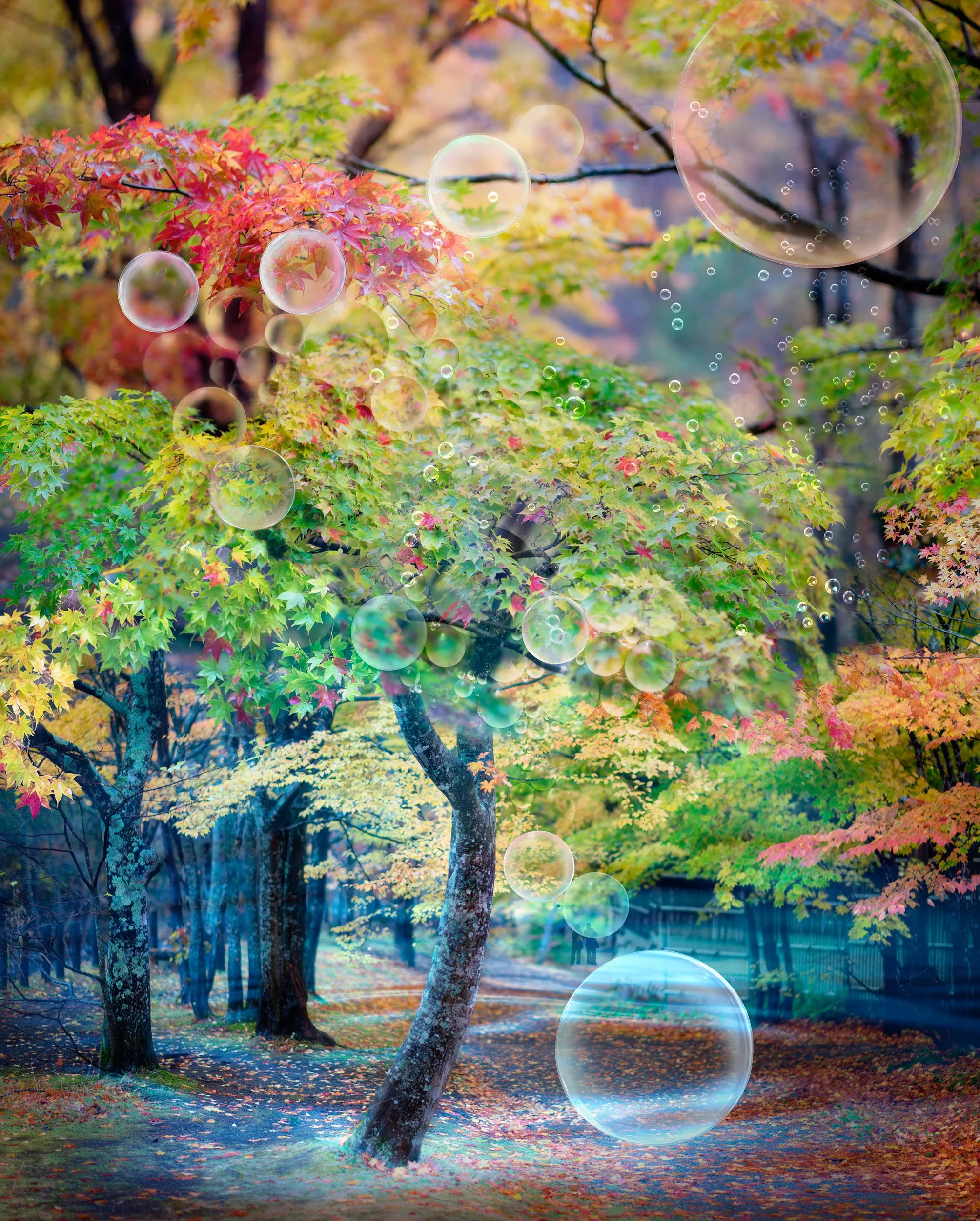 The Dream Quest | 2025