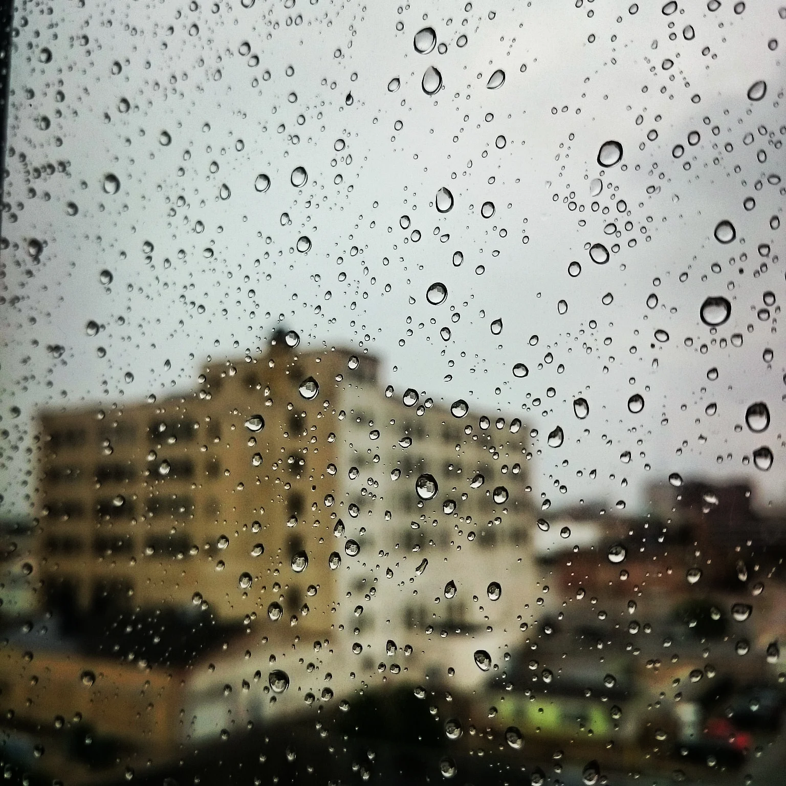 IMG_20150819_162051.jpg