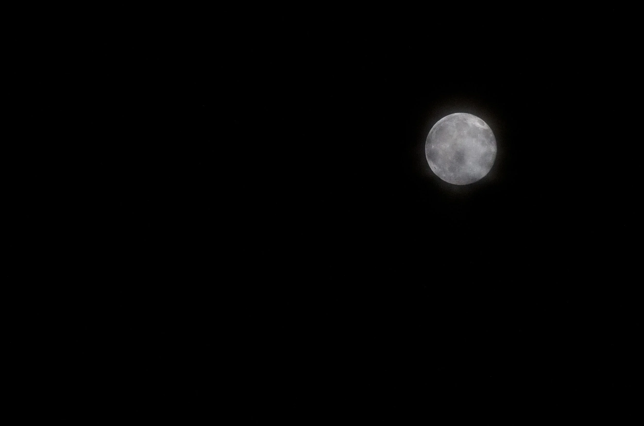 NightNightMoon.jpg