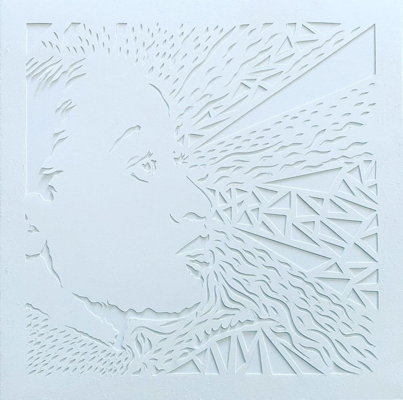 6DDE1C50-4593-4C1F-BF0B-CE93F7B0FB7F (1).JPG