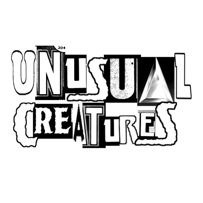 unusuallogo45.jpg