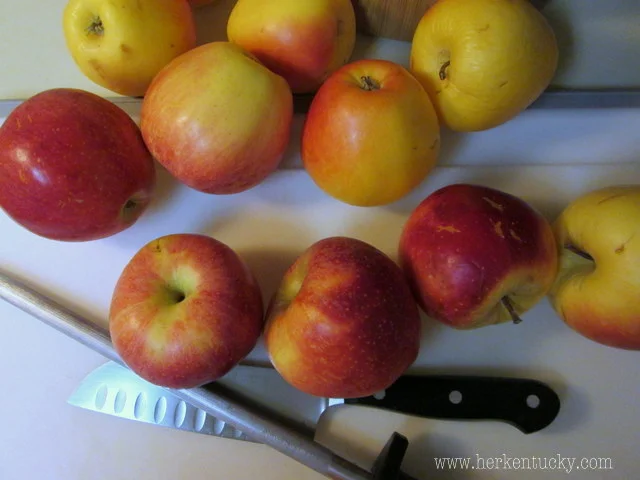 Gala and Pixie Crisp apples from Reed Valley Orchard