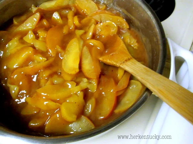 Finished fried apples just waiting for some ice cream!