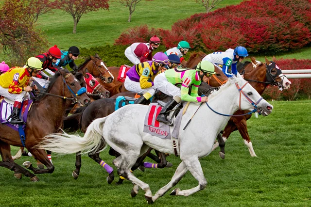 Image via Keeneland