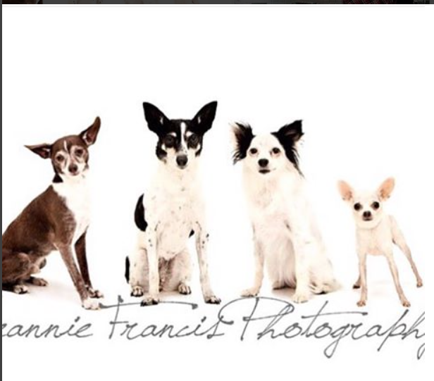 Follow the littlest of these babies -- Lola "Tiny" -- on Facebook. 