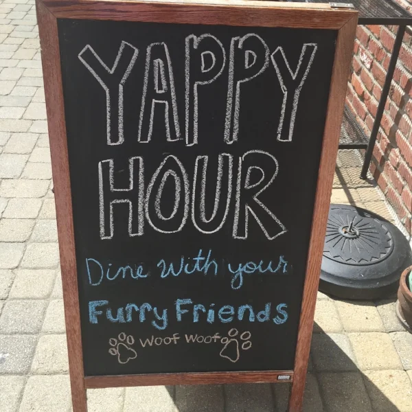 Coals Pizza in St Matthews hosts a Yappy Hour on their patio every Wednesday!
