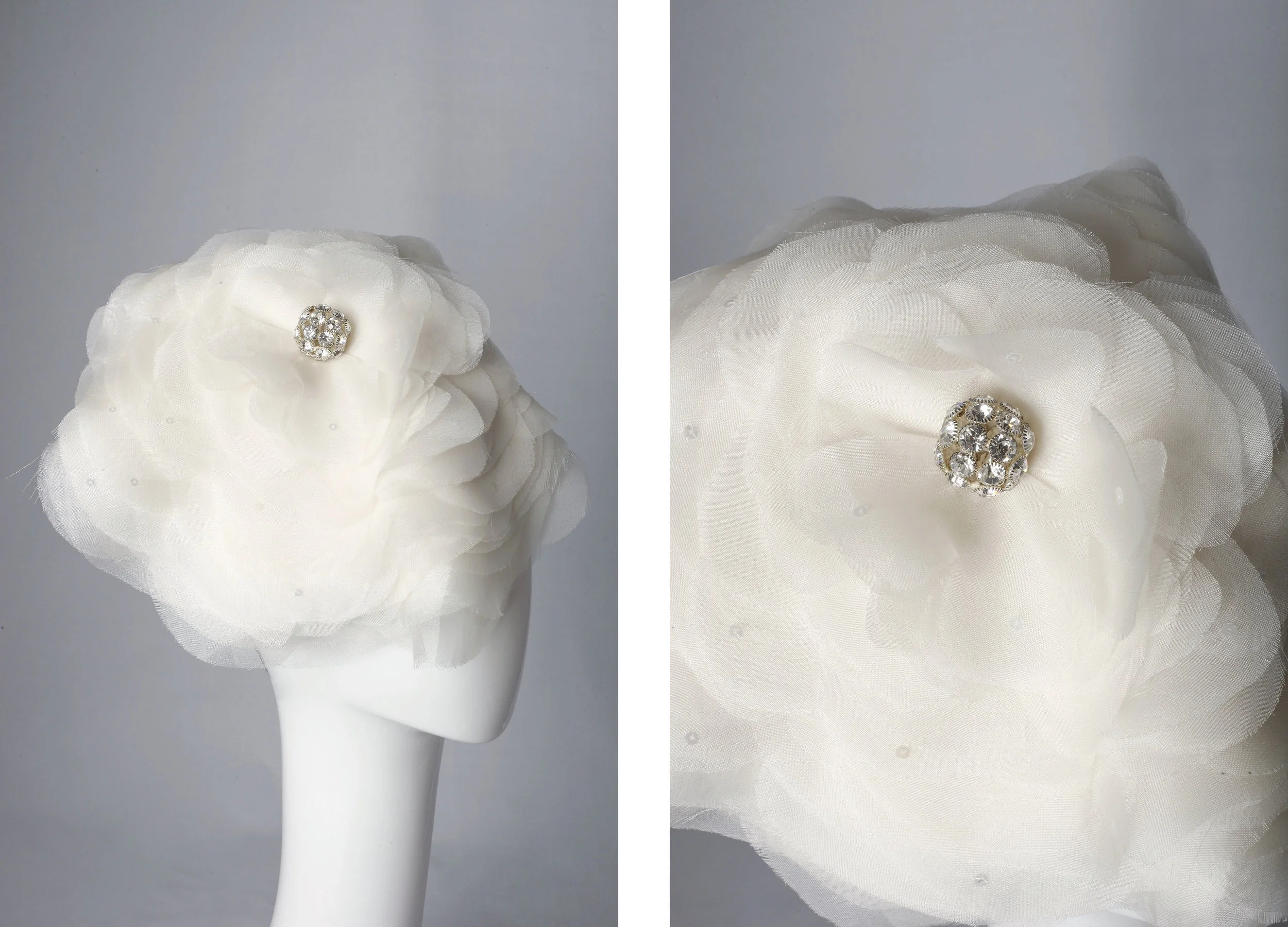 CAMELLIA