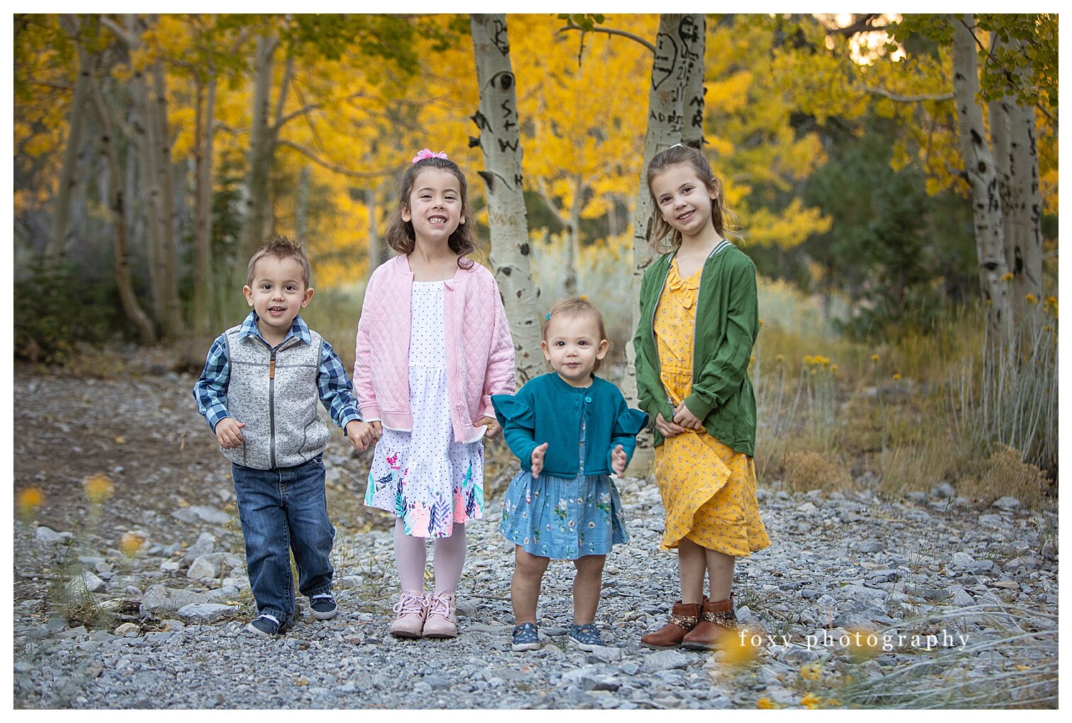 Foxy Photography Family Portrait Las Vegas_0038.jpg