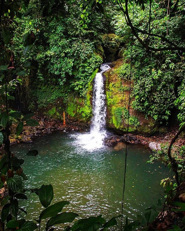 R i o  A r e n a l ↠  La Fortuna, Costa Rica 🇨🇷 | 2015