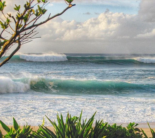 N o r t h  S h o r e ↠ Oahu, Hawaii 🇺🇸 [2008]