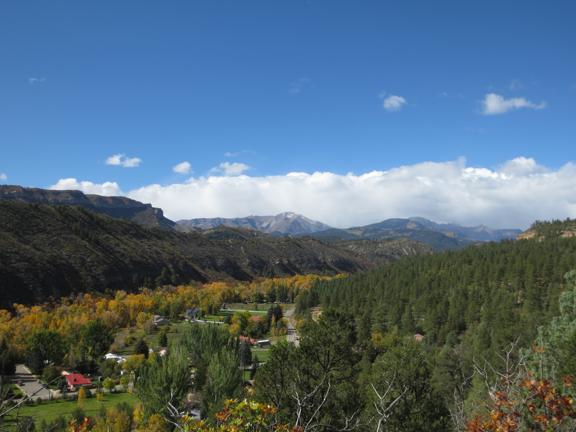 Junction Creek drainage is always beautiful this time of year, as a line of yellow cottonwoods winds into the mountains.