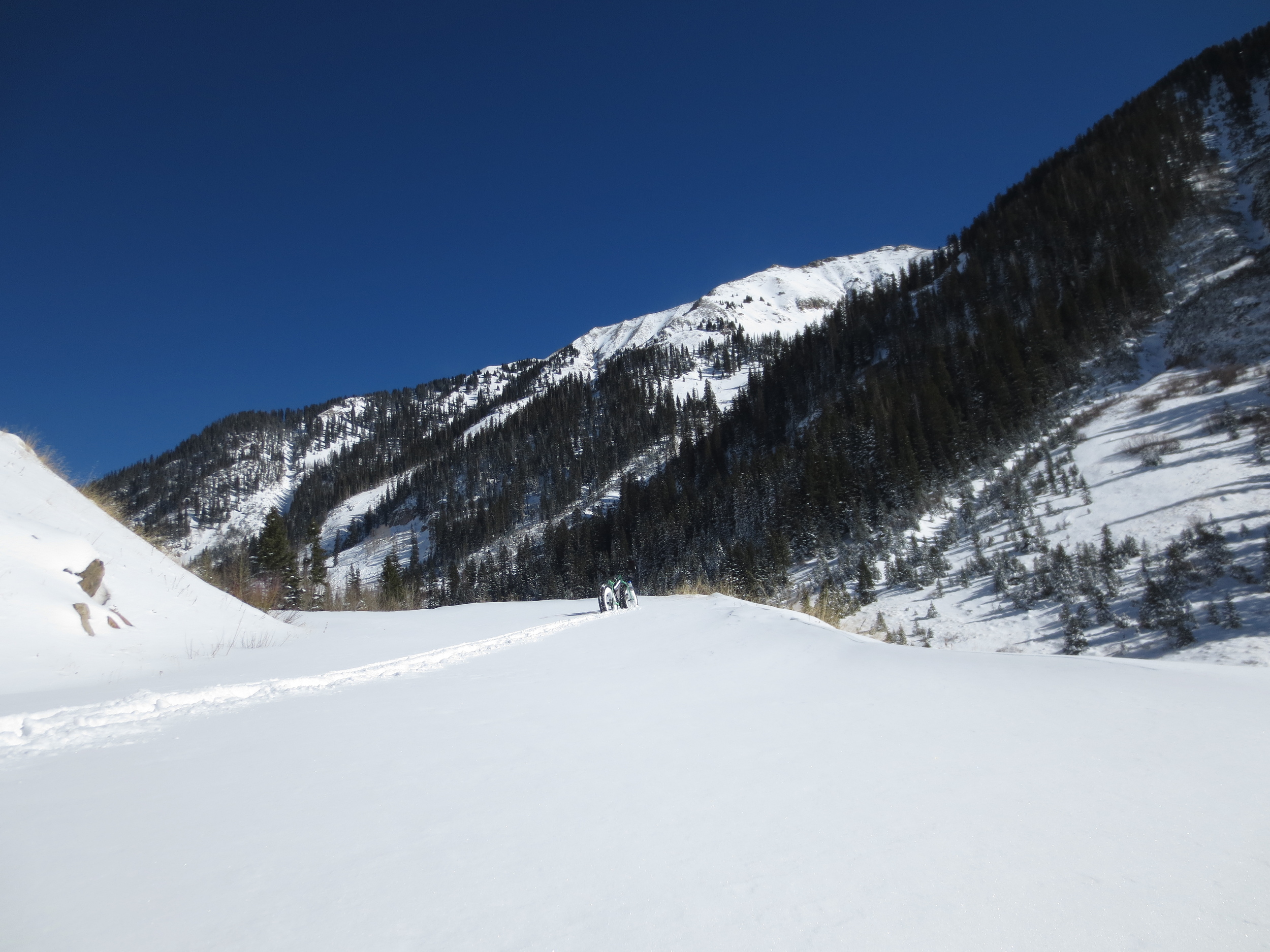 Fresh tracks, indeed.