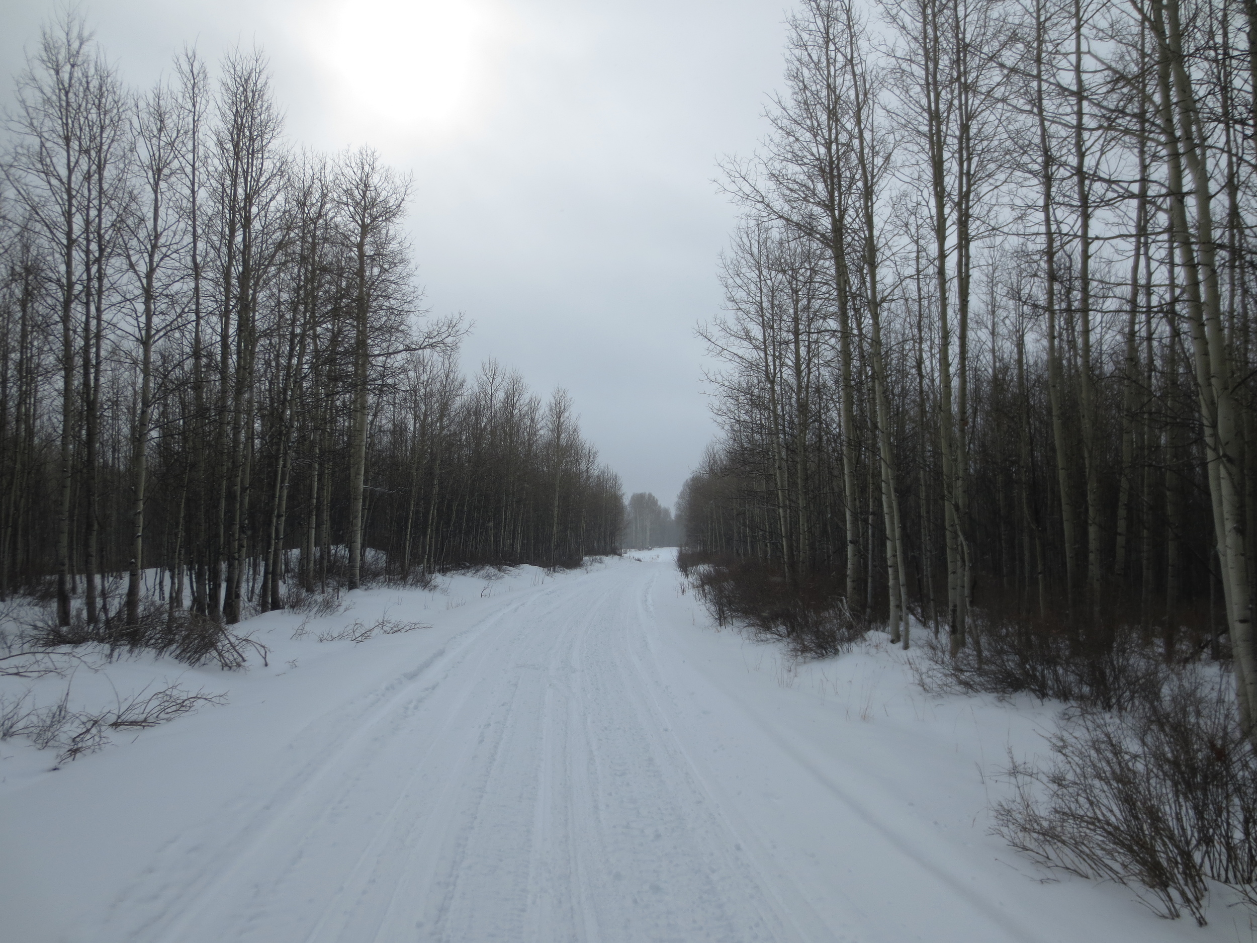 And the road goes on forever... or at least it feels like it.