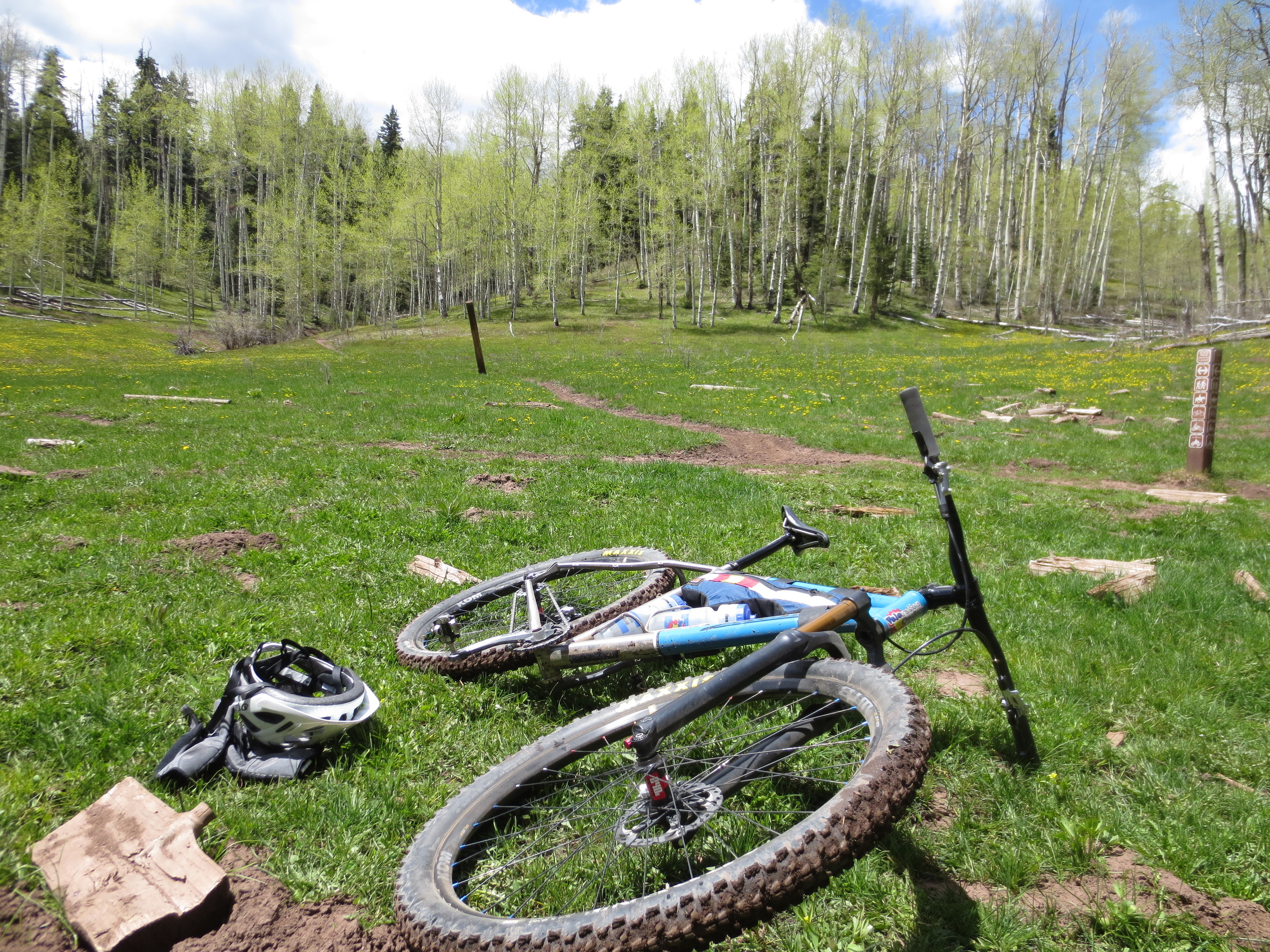 Lain a bit low by an AZT-inspired knee injury, I'm grateful to even get out and ride for a few hours on days like this. The SS may have to become a 1x10 for the summer, at least until my knee heals.
