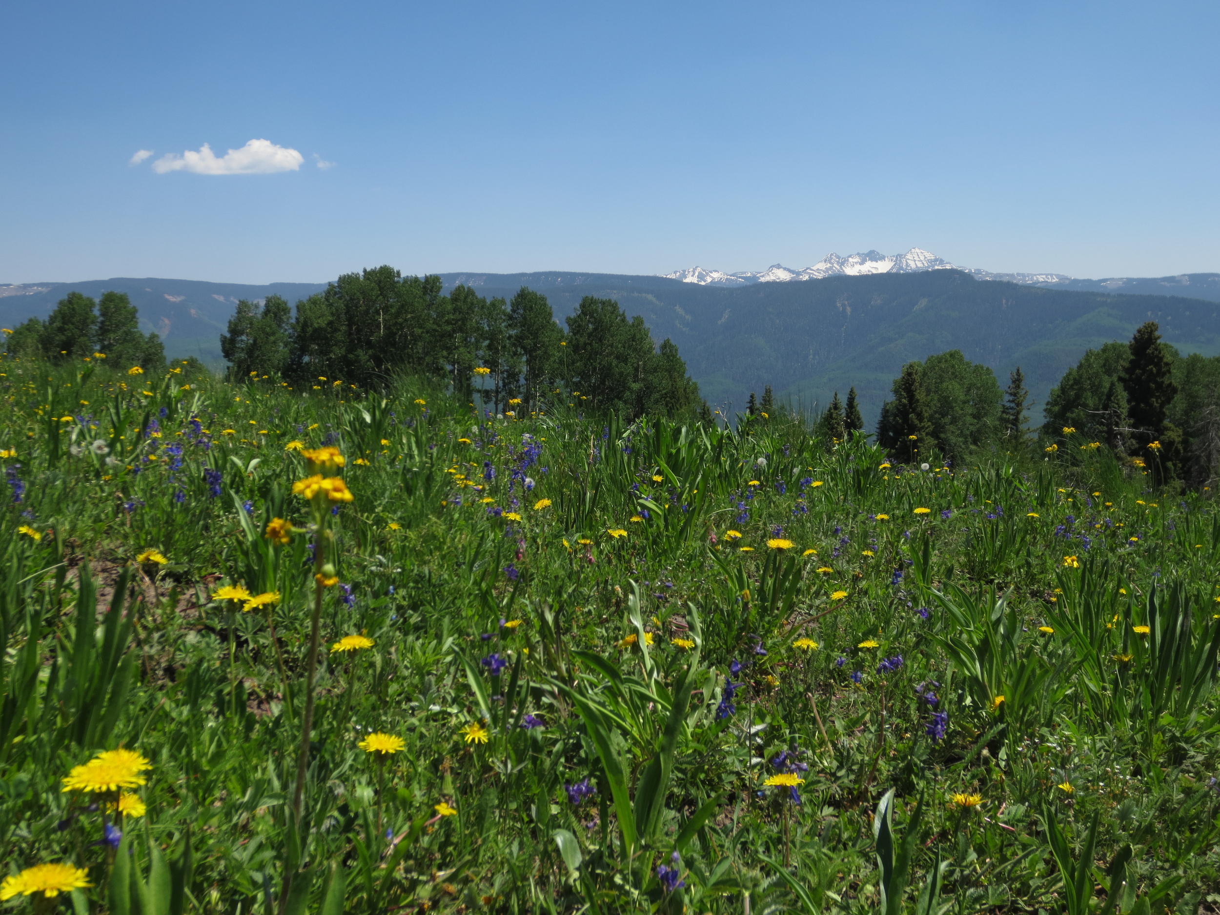 Out in the Colorado backcountry, as usual.