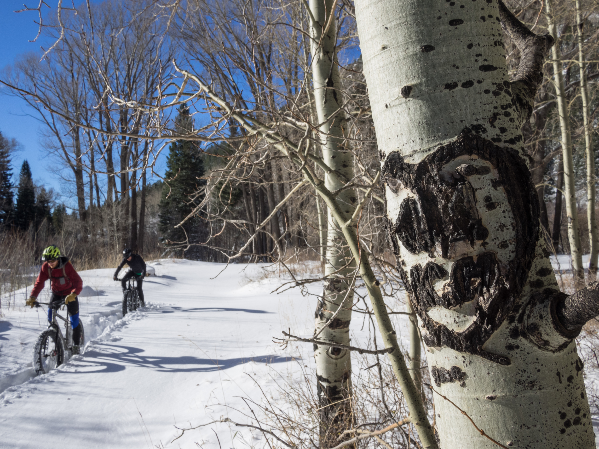 I heart fatbiking.