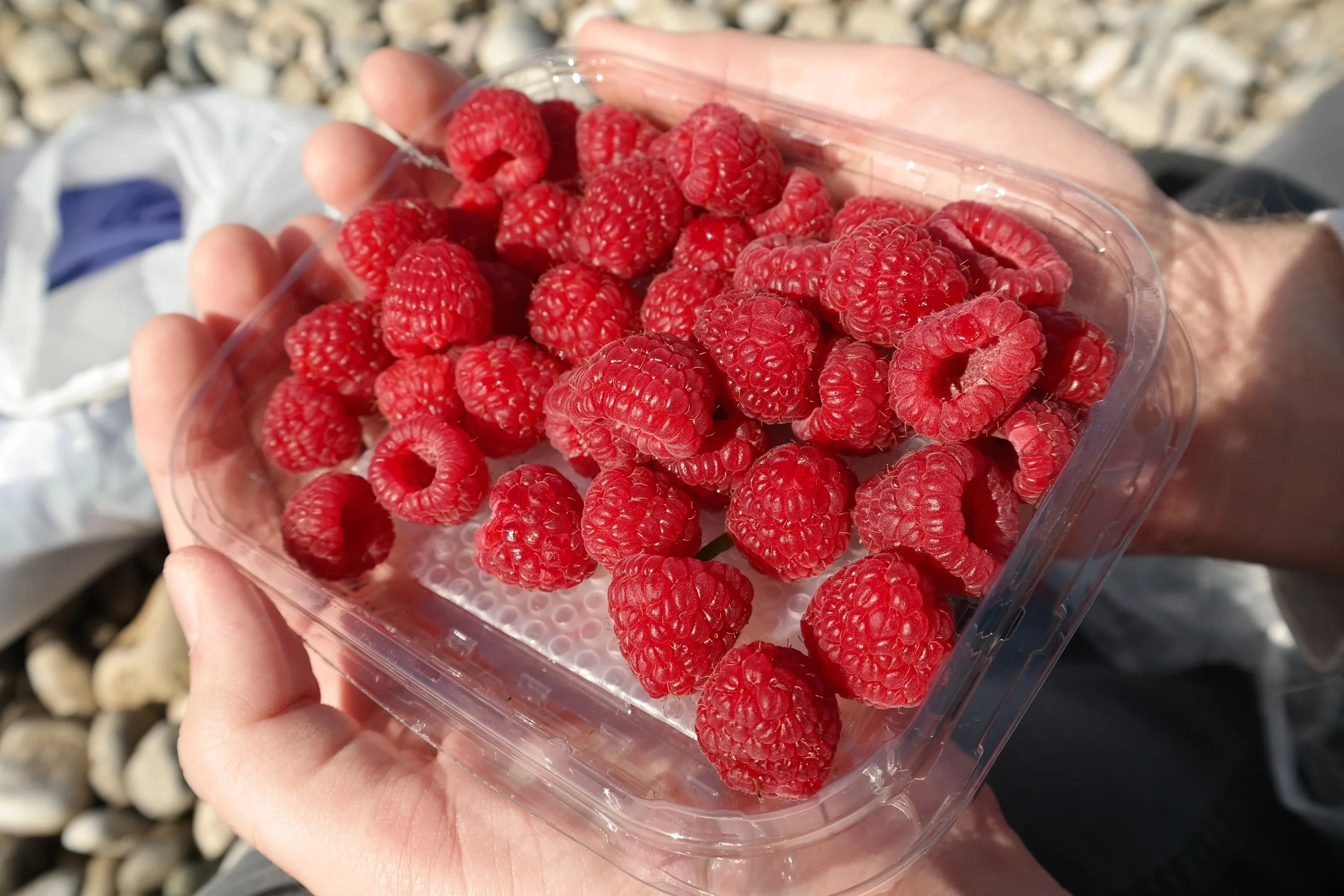 And there were raspberries! We found them at a market, and I naturally snatched them up. Nearly impossible to find here in Madrid, I'm willing to sacrifice a little for them!